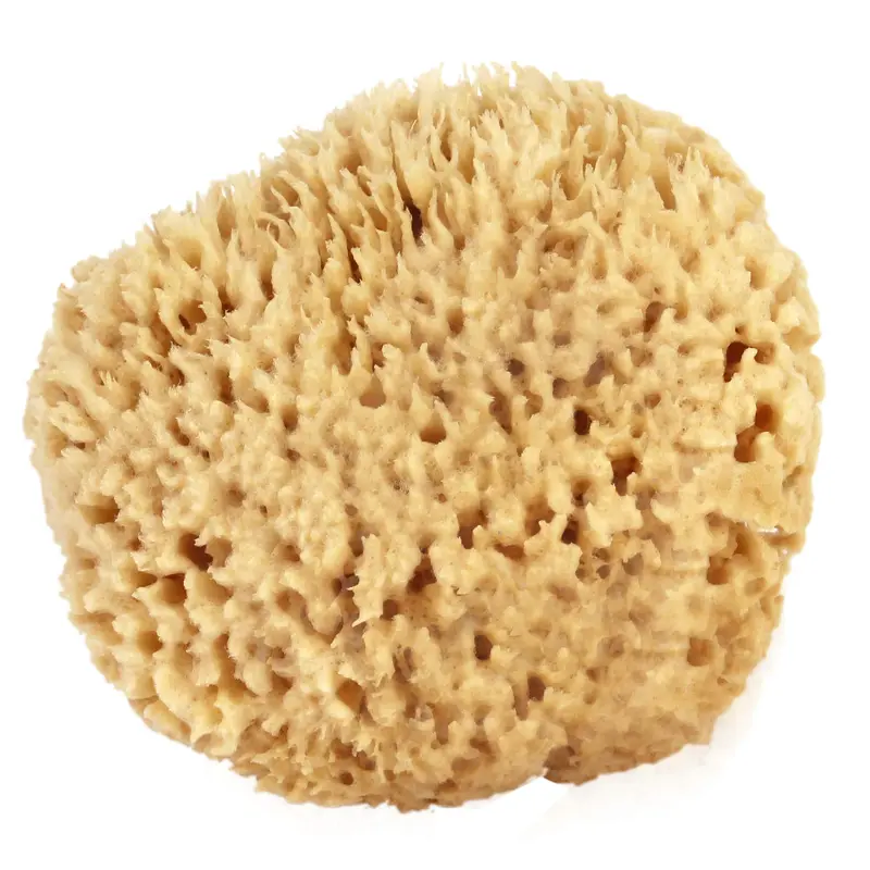 Seawool Sponge Small