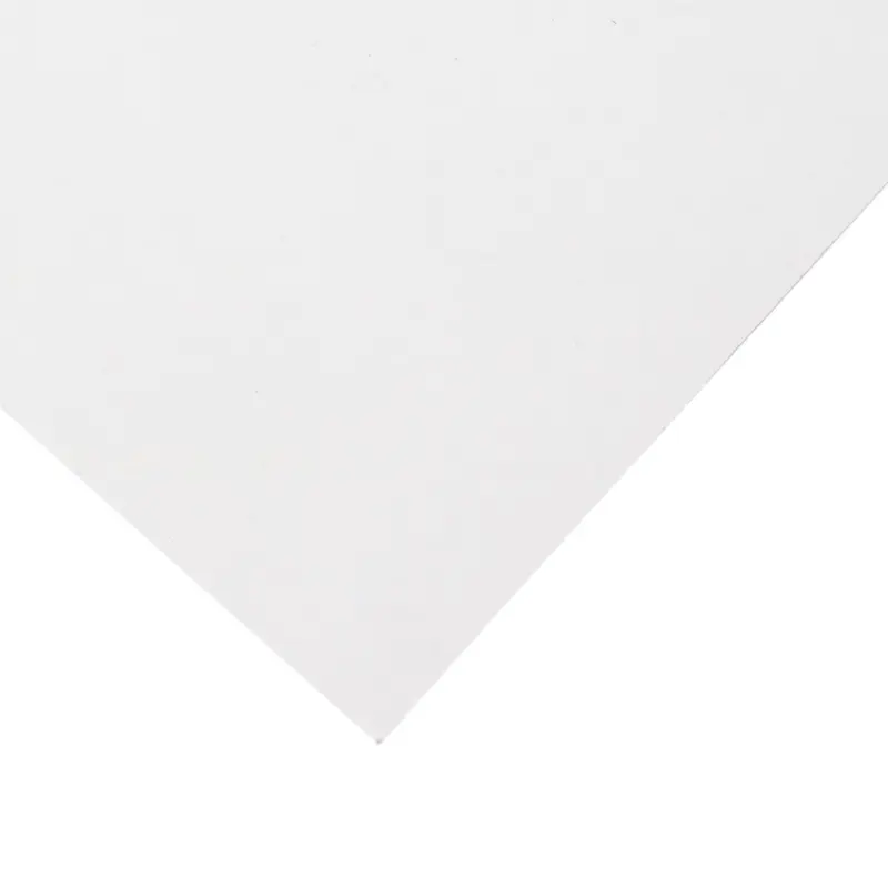 Heavyweight Bristol Board - White