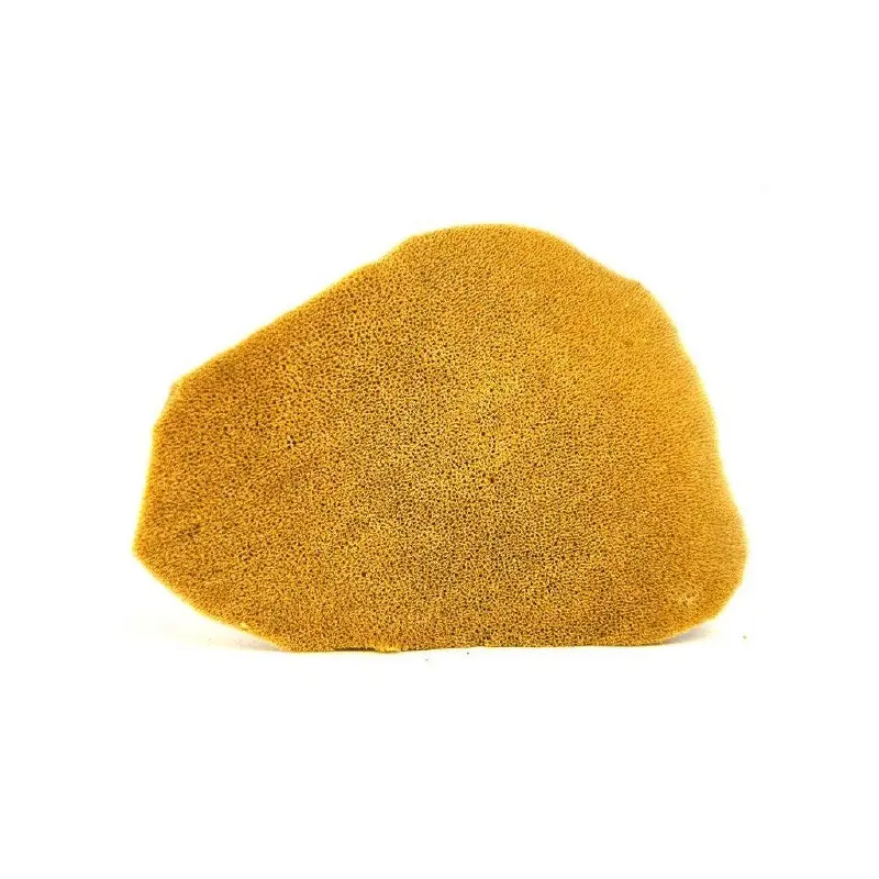 Select Elephant Ear Sponge: Very Thin With Fine Grain: Large
