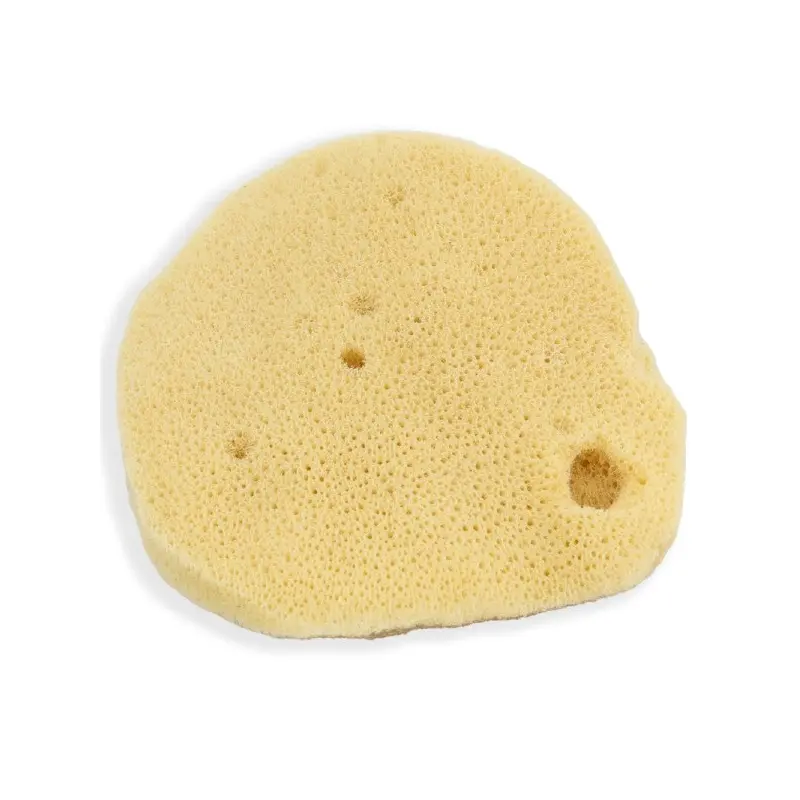 Select Elephant Ear Sponge: Very Thin With Fine Grain - Small
