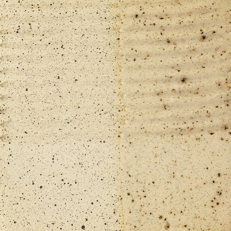 T3-M Stoneware Moist Clay c5 - 50Lb Box - Non-Delivered Price