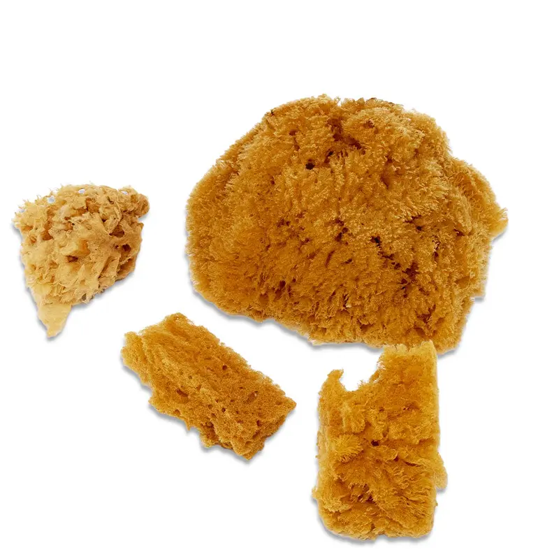 Combo Natural Sea Sponge Set (Wool,Silk,Yellow) (2093)