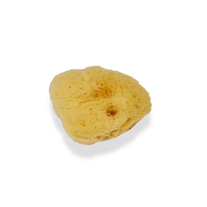 Silk Sponge - Medium