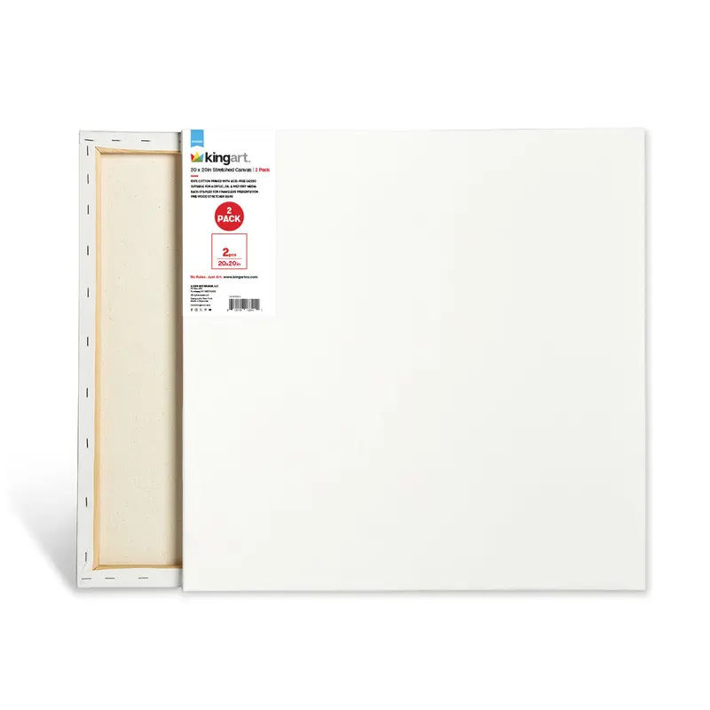 Stretched Canvas 20x20 2 pc