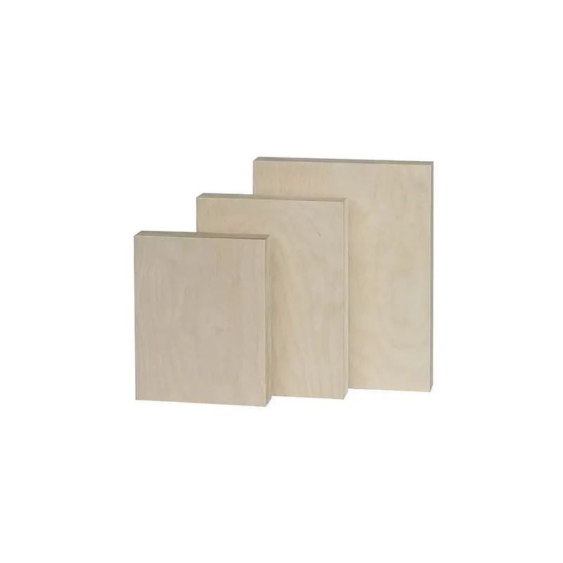 Trekell Raw Baltic Birch Panel - 1" Traditional Profile Wooden Canvas for Painting