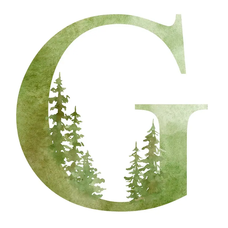 Foggy Forest G Fabric Panel