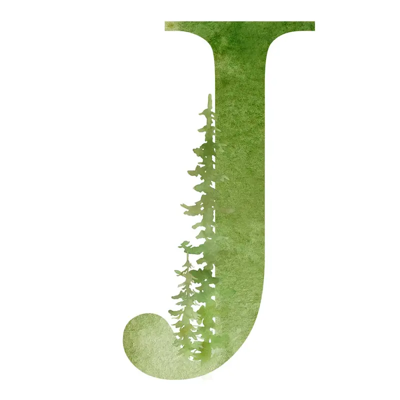 Foggy Forest J Fabric Panel