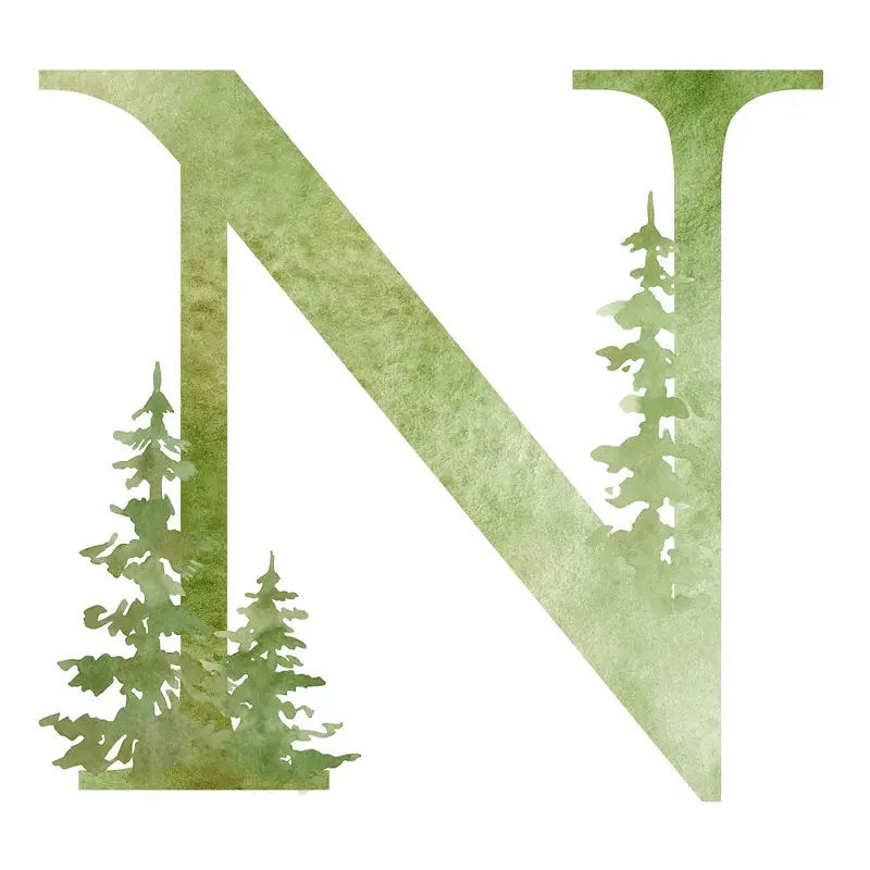 Foggy Forest N Fabric Panel