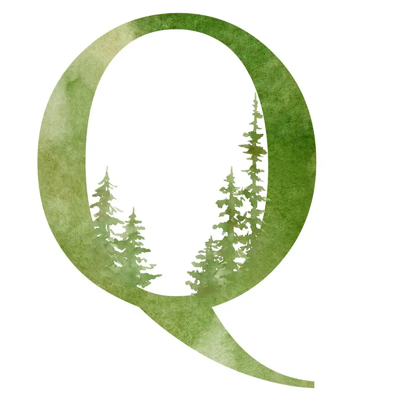 Foggy Forest Q Fabric Panel