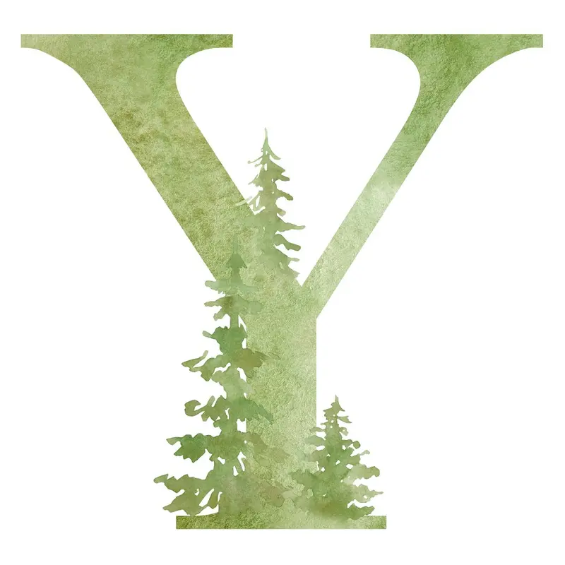 Foggy Forest Y Fabric Panel