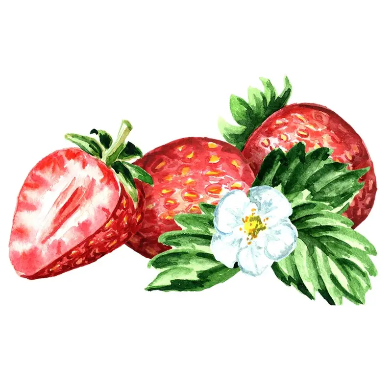 Fresh Strawberries Fabric Panel