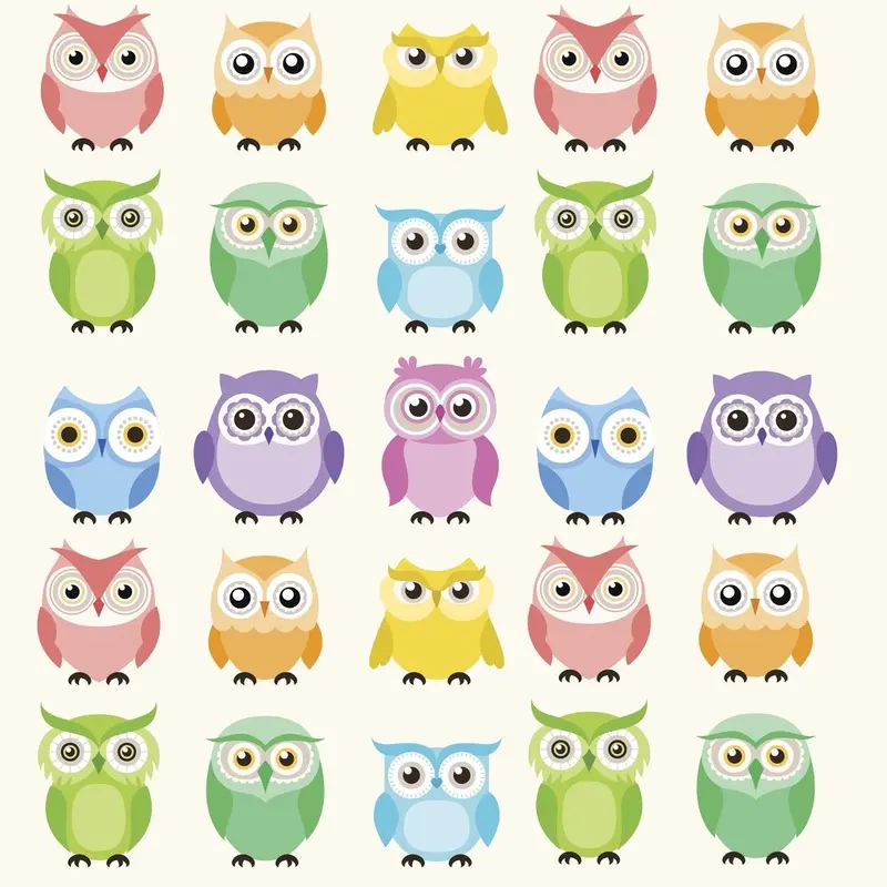 Colorful Owl Fabric - Multi