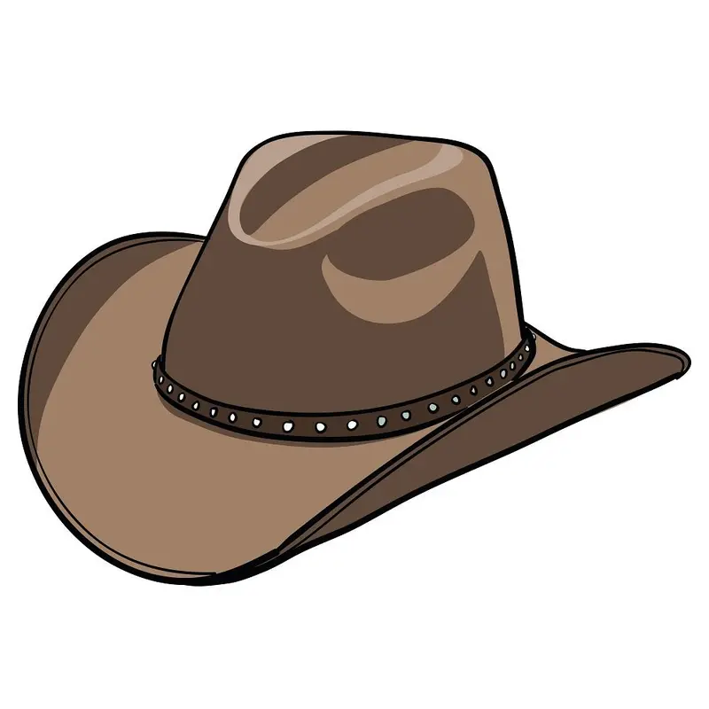 Cowboy Hat Fabric Panel - Brown