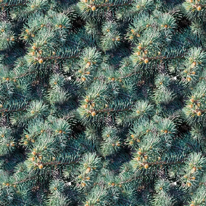 Fir-Tree Branch Fabric