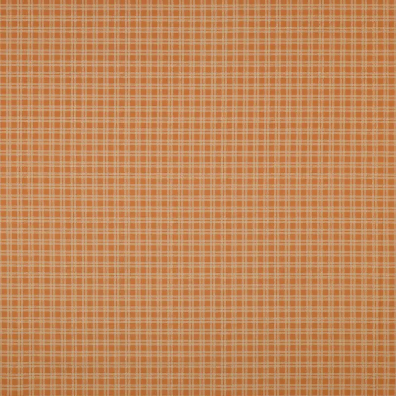 Fairview Avenue Fabric Collection - Cozy Gingham Birch