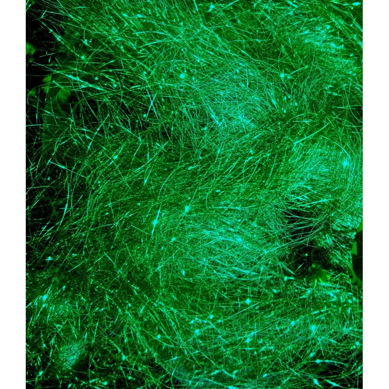 Brilliant Emerald Angelina