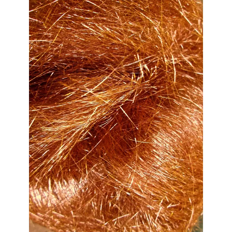 Desert Sunset Angelina