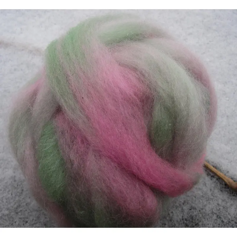 Kiwi and Rose Hand Painted Roving