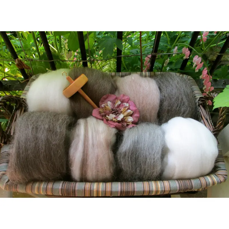 Natural Combed Wool Top Collection Sampler- Full Pound of Fiber!