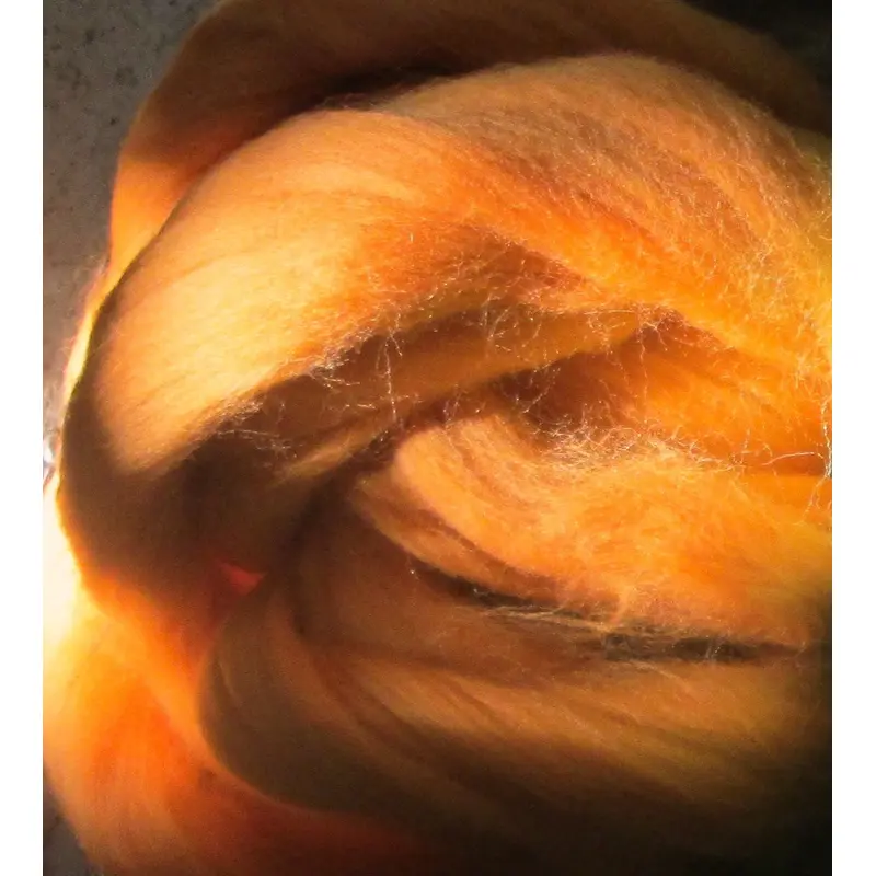 Soft Tangerine Merino Roving Ashland Bay