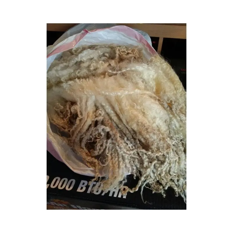 Raw Teeswater Wool - White - Sold by the pound