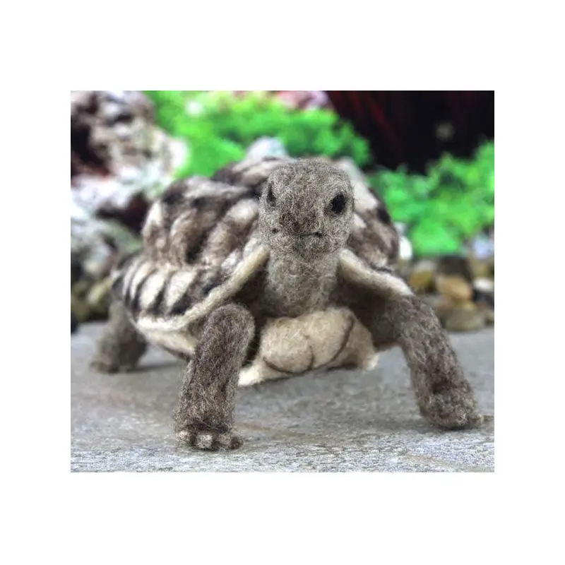 World of Wool Felting Kit - Toto the Tortoise