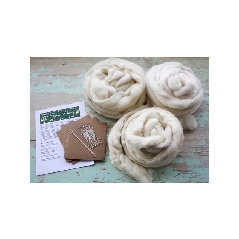 Woolery Spin Along Kit
