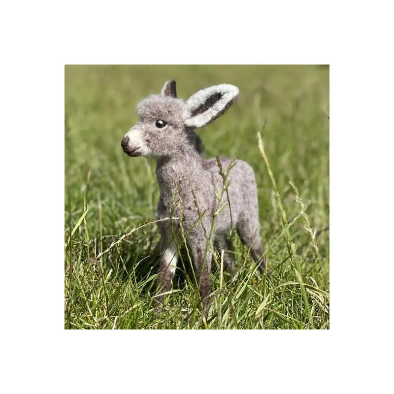 World of Wool Felting Kit - Diego the Donkey