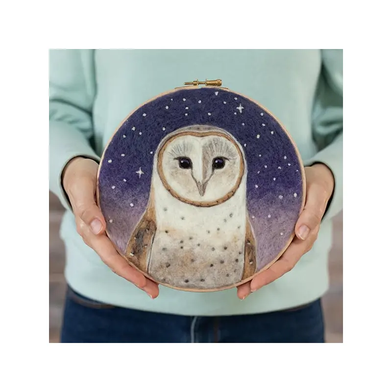 Painting with Wool Needle Felting Kit - Dani Ives' Barn Owl