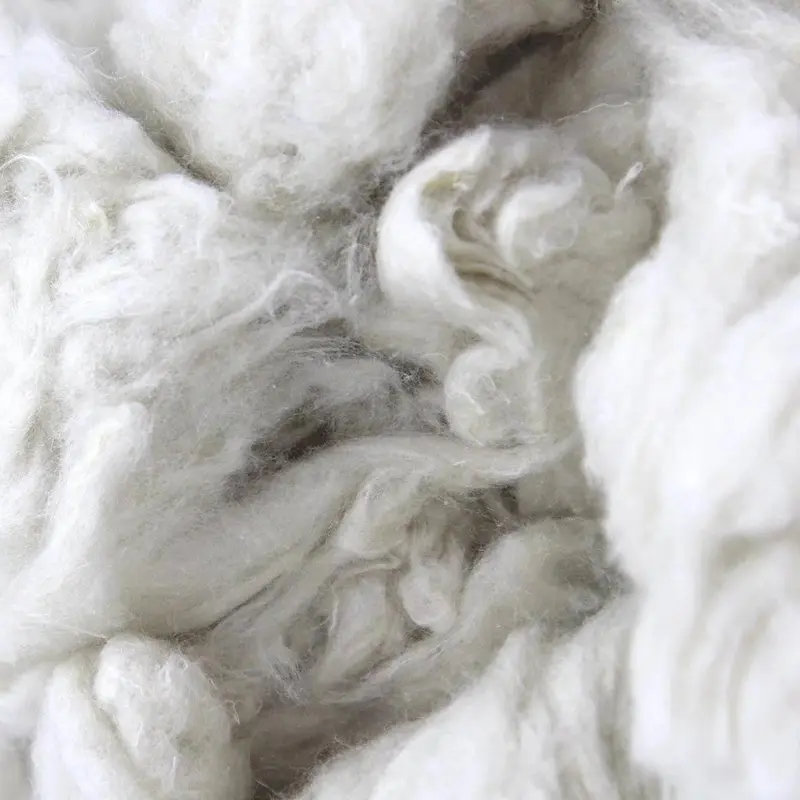 Recycled Mulberry Silk Fiber